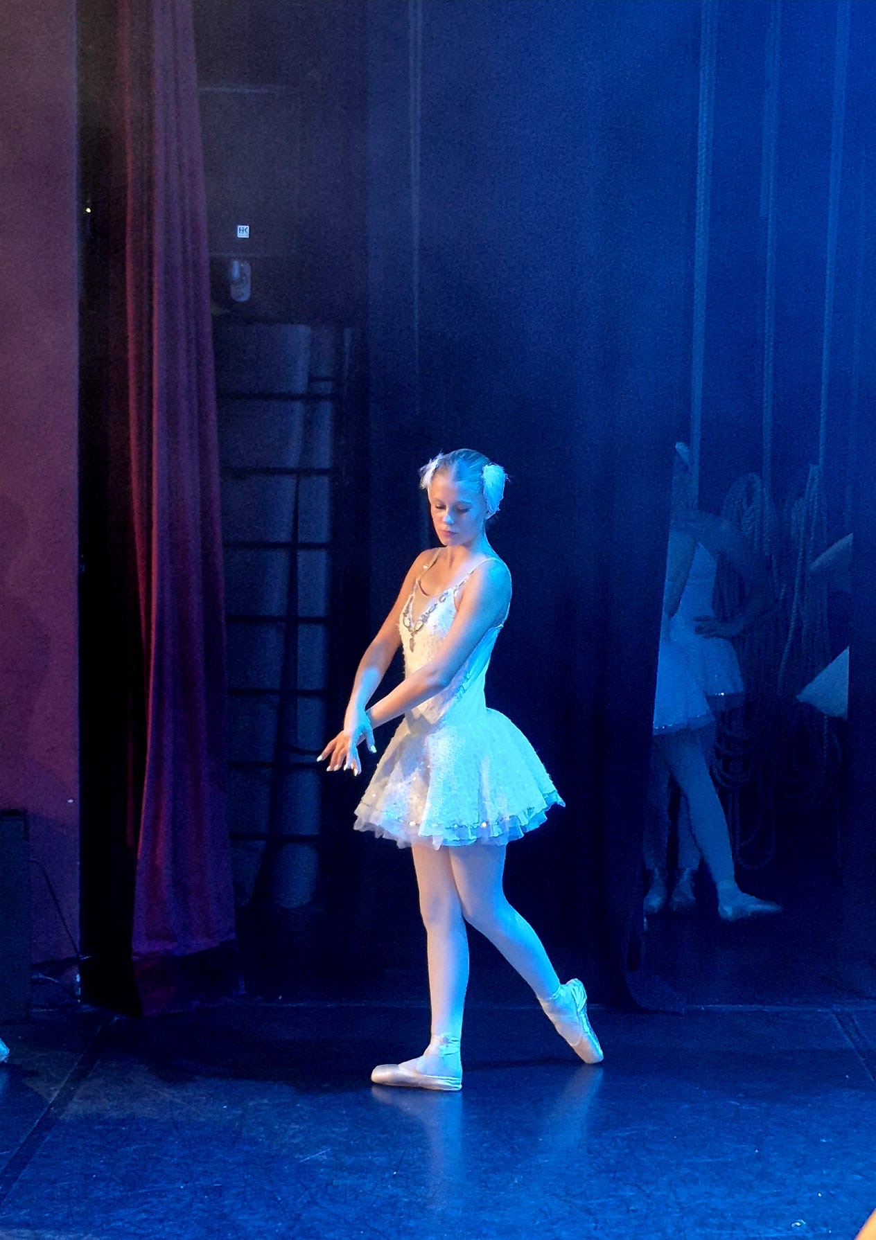 Swan Lake 2026, featured photo 2