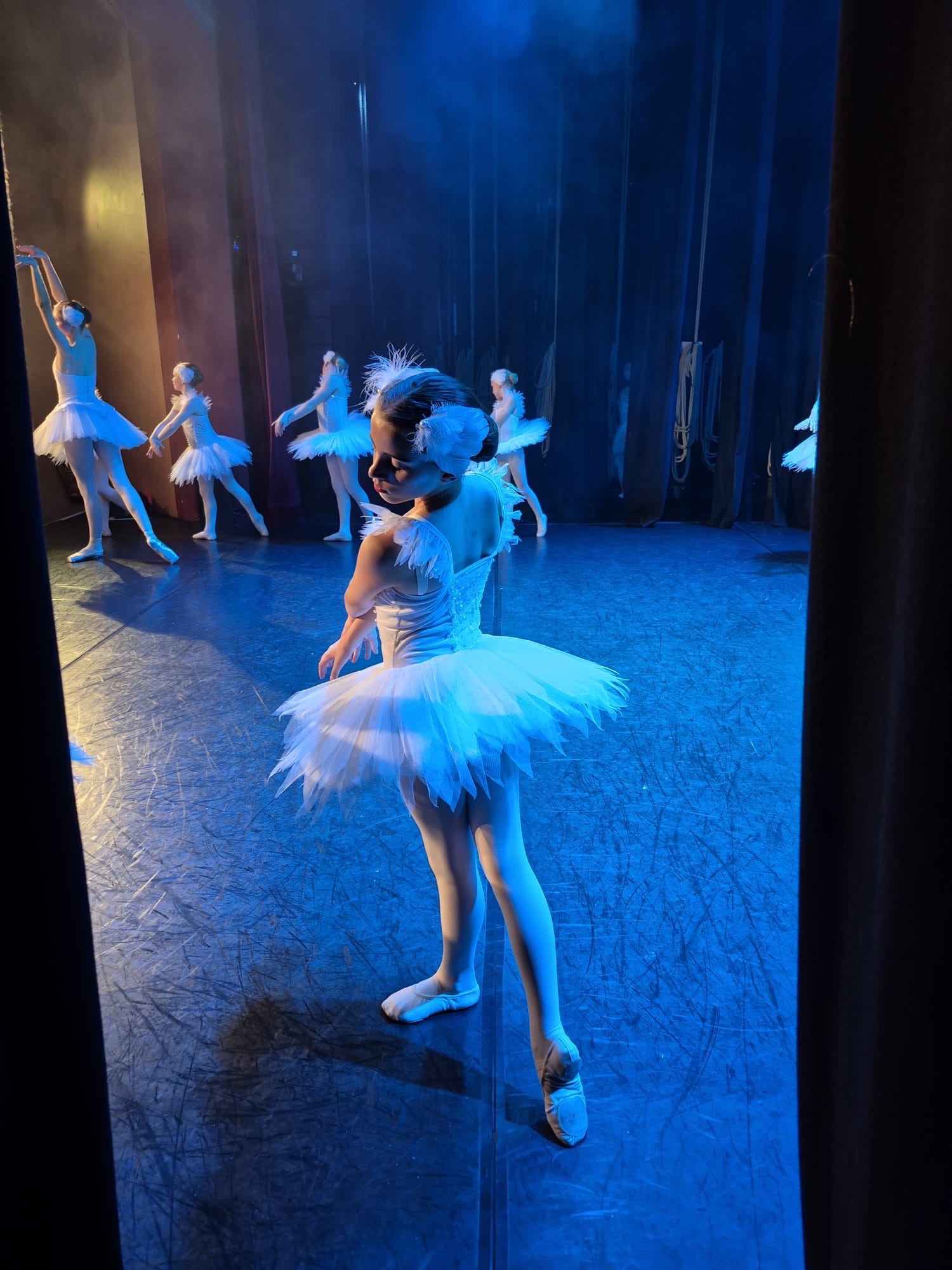 Swan Lake 2026, featured photo 1