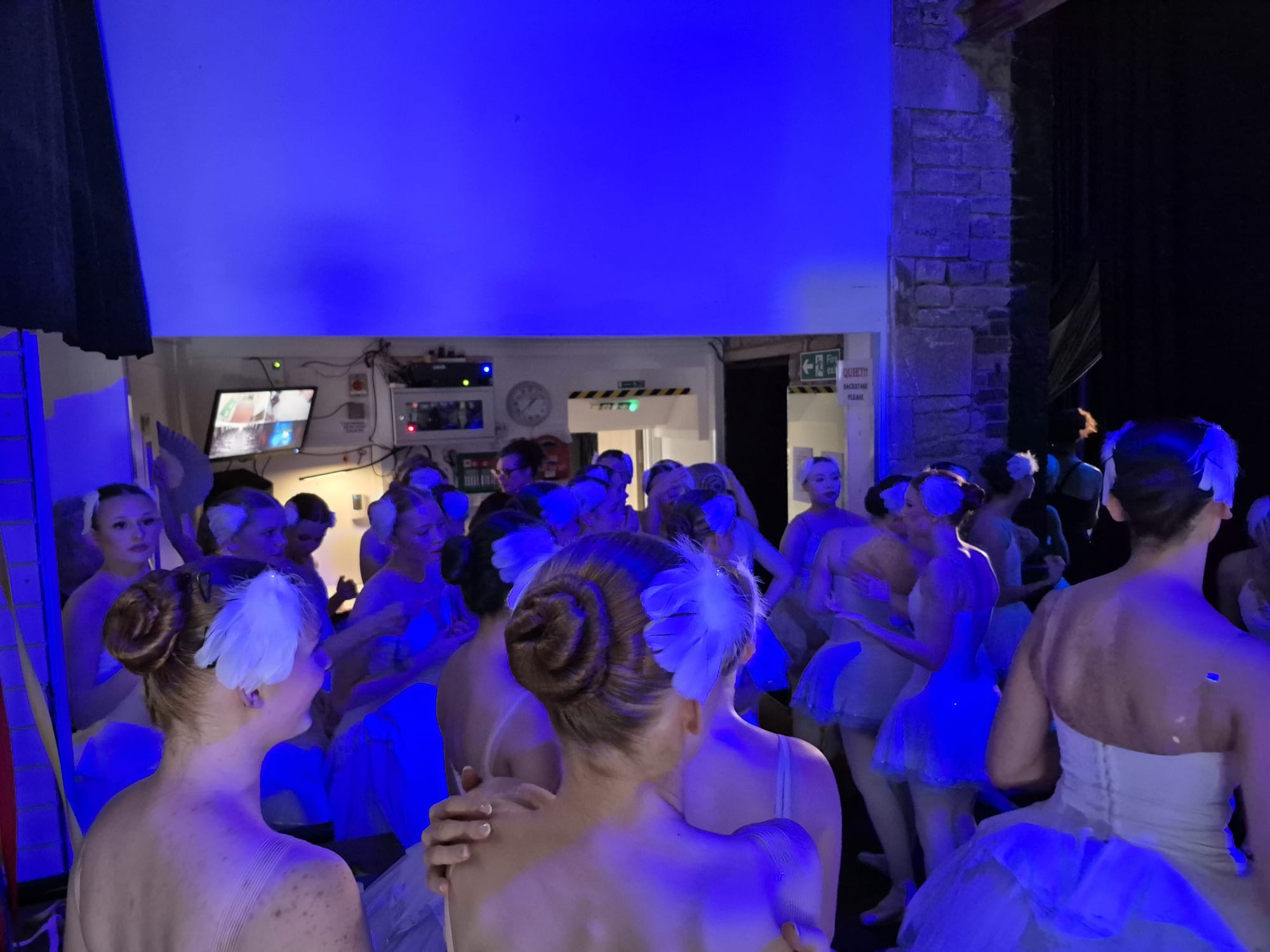 Swan Lake 2026, photo 4