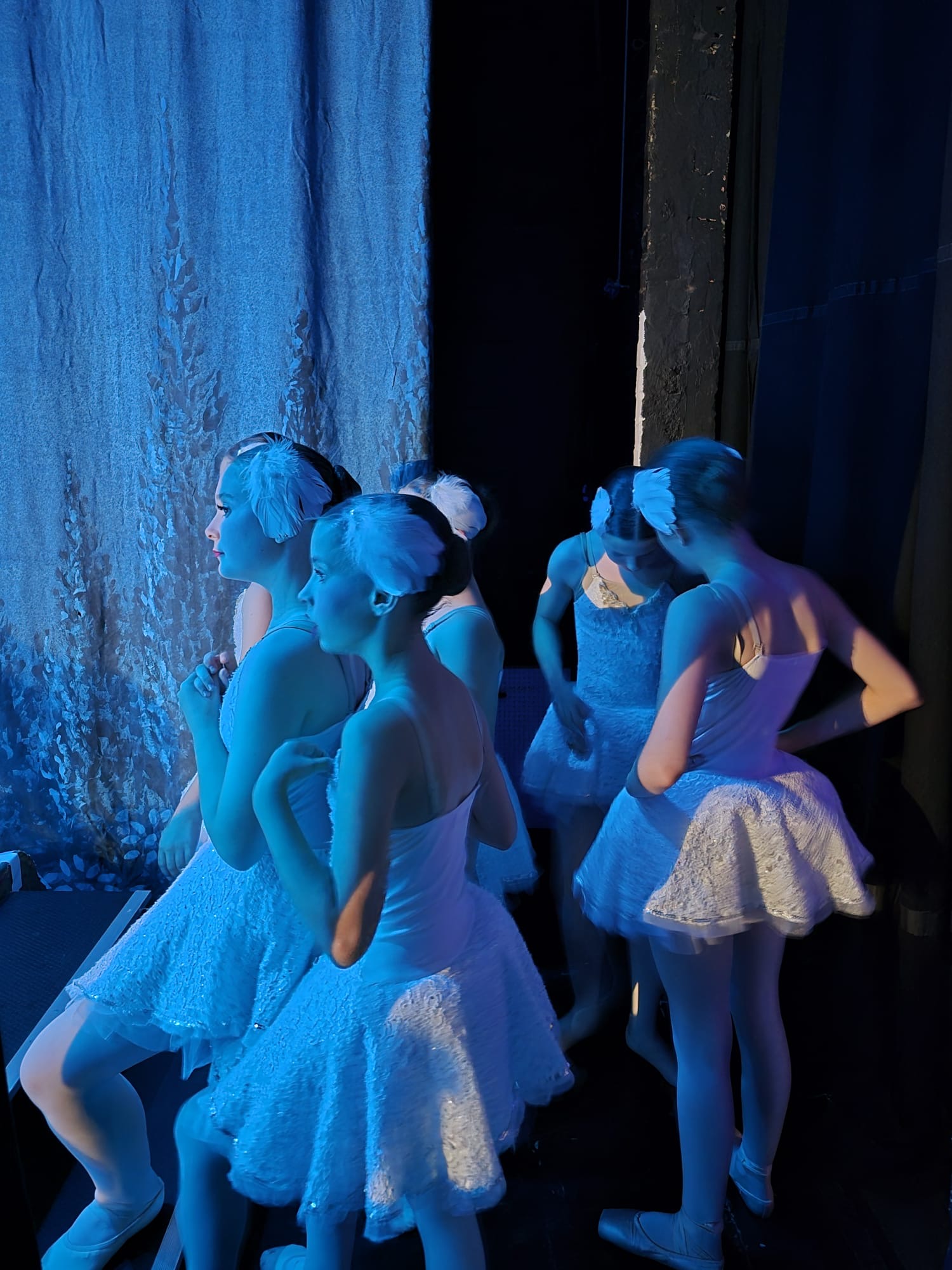 Swan Lake 2026, photo 5